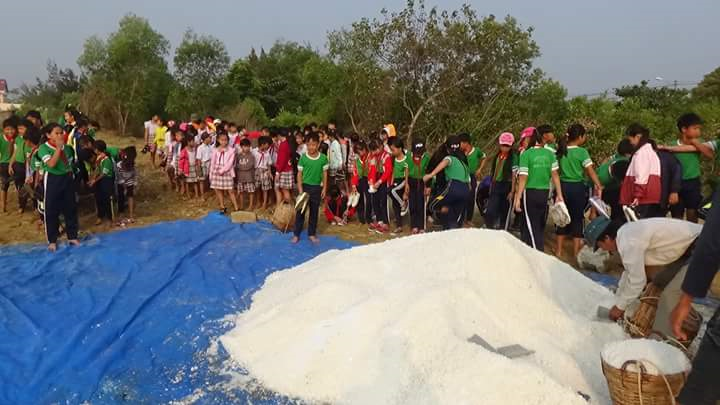 Hoạt dông trãi nghiệm thu hoạch muối.jpg